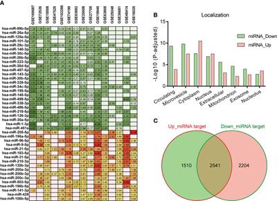 Systematic assessment of microRNAs associated with lung cancer and physical exercise